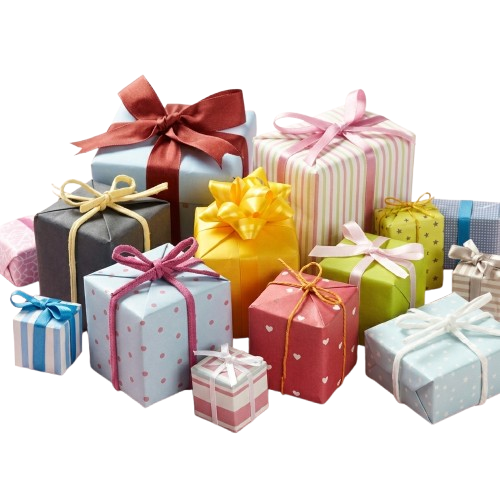 Gemini_Generated_Image_pd4qvtpd4qvtpd4q-removebg-preview